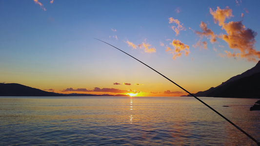 Reel in the Benefits: Exploring the Health Perks of Fishing